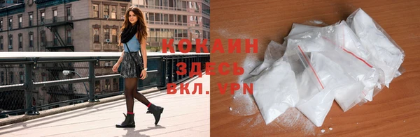 стаф Семилуки