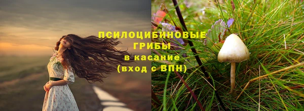 спиды Армянск