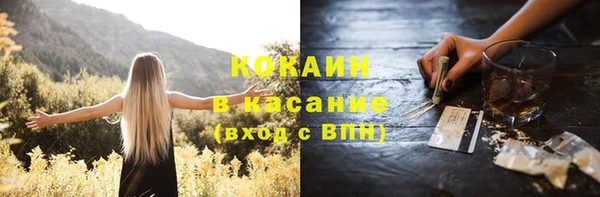 стаф Семилуки