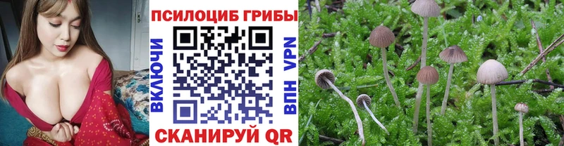 Галлюциногенные грибы Magic Shrooms omg ССЫЛКА Руза